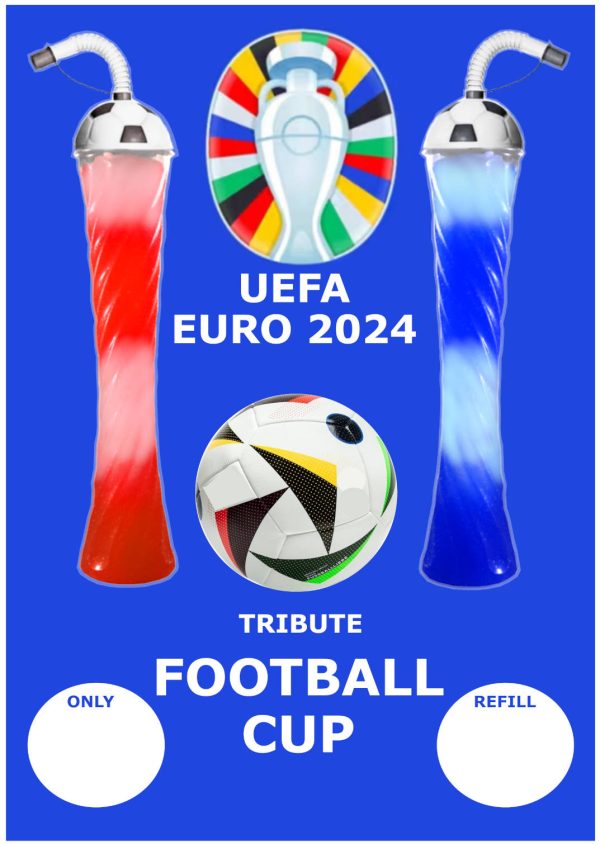 EURO 2024 Slush Poster